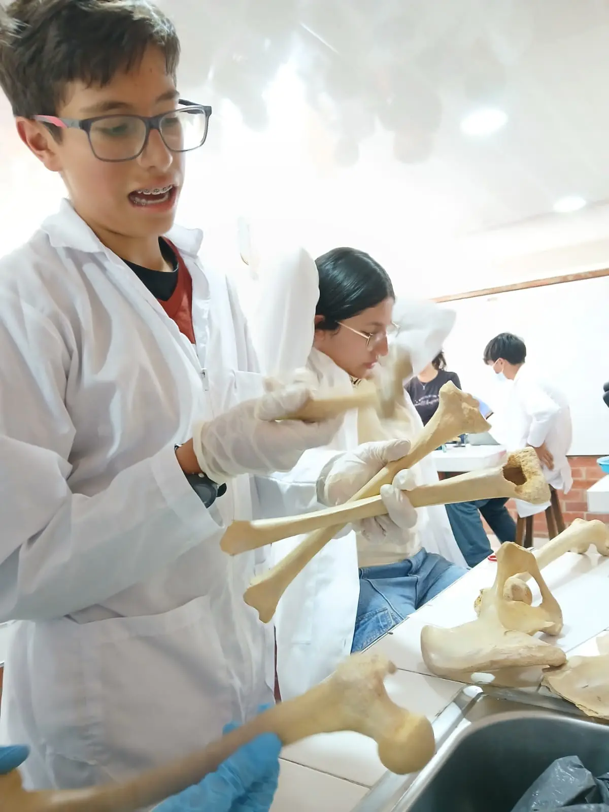 Investigación